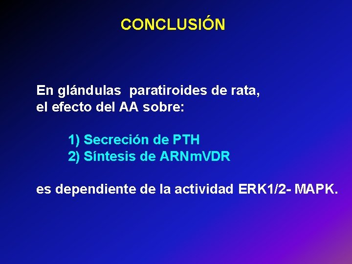 CONCLUSIÓN En glándulas paratiroides de rata, el efecto del AA sobre: 1) Secreción de