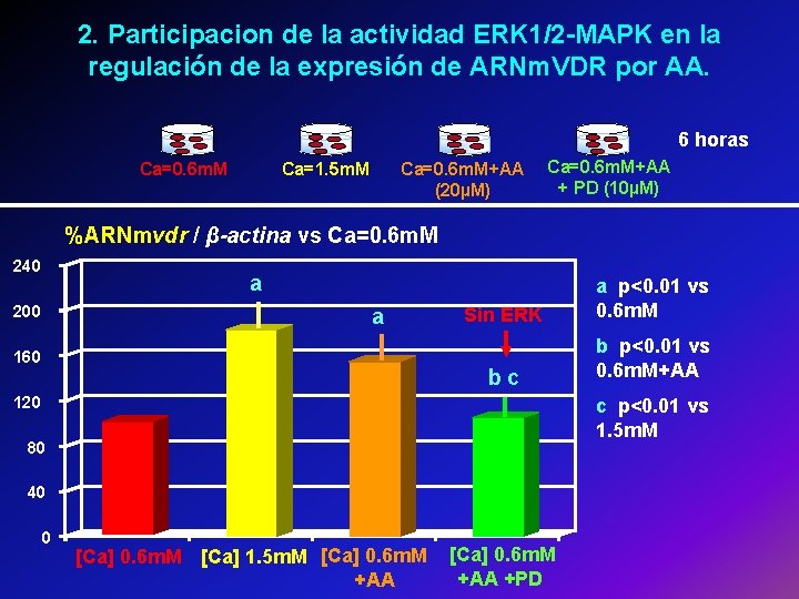 2. Participacion de la actividad ERK 1/2 -MAPK en la regulación de la expresión