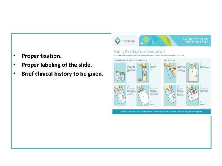  • Proper fixation. • Proper labeling of the slide. • Brief clinical history