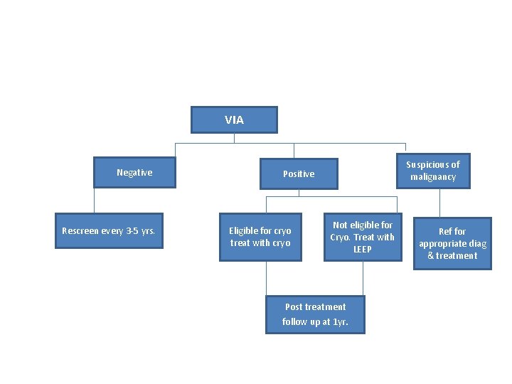 VIA Negative Rescreen every 3 -5 yrs. Suspicious of malignancy Positive Eligible for cryo