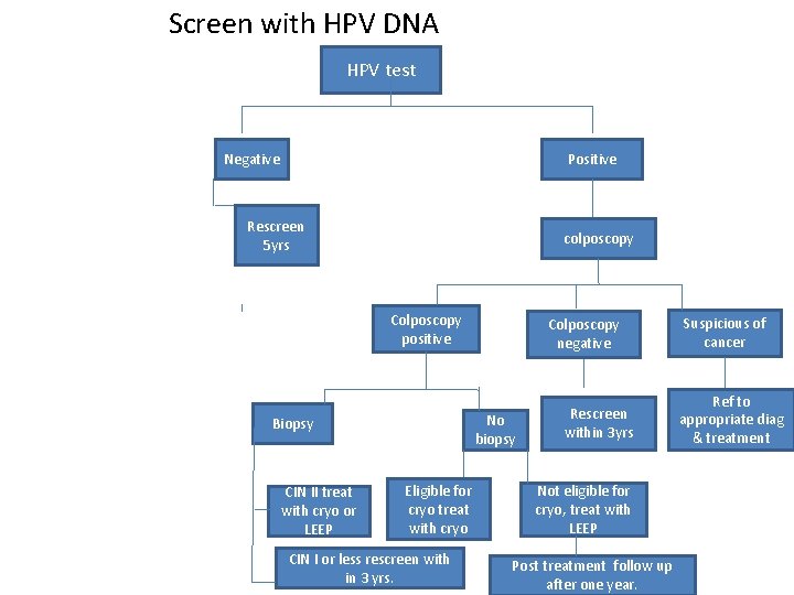 Screen with HPV DNA HPV test Negative Positive Rescreen 5 yrs colposcopy Colposcopy positive