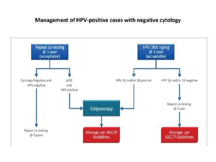 Management of HPV-positive cases with negative cytology 