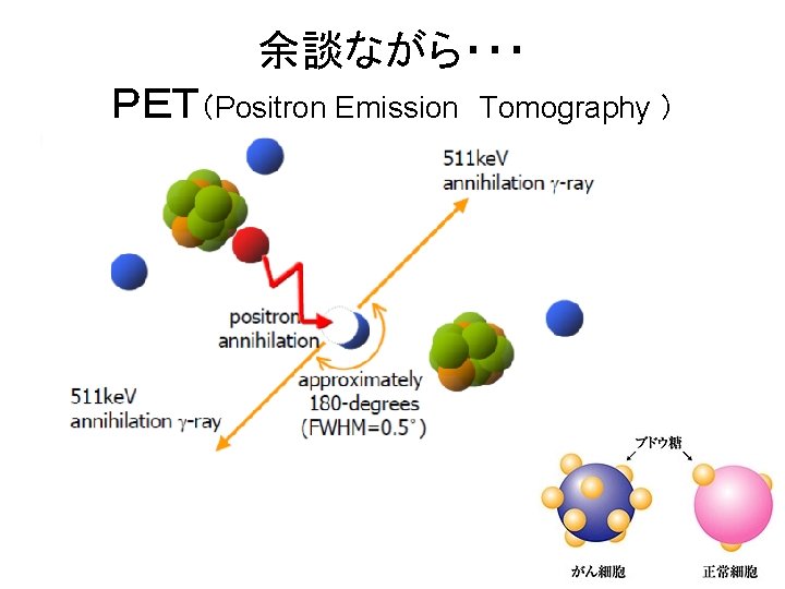 余談ながら・・・ ＰＥＴ（Positron Emission Tomography ） 