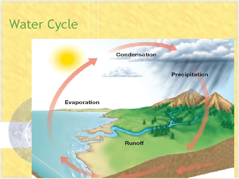 Water Cycle 