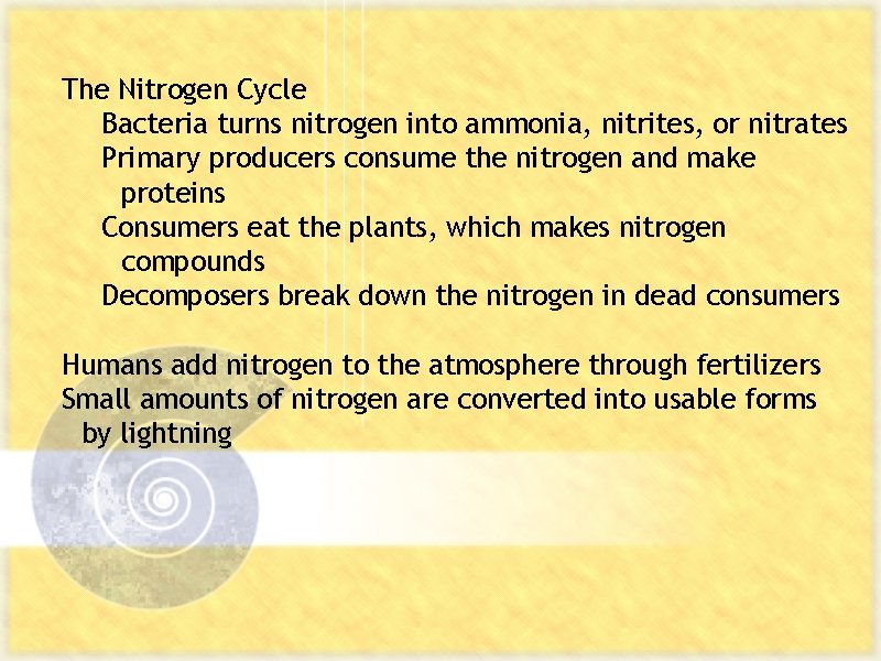The Nitrogen Cycle Bacteria turns nitrogen into ammonia, nitrites, or nitrates Primary producers consume
