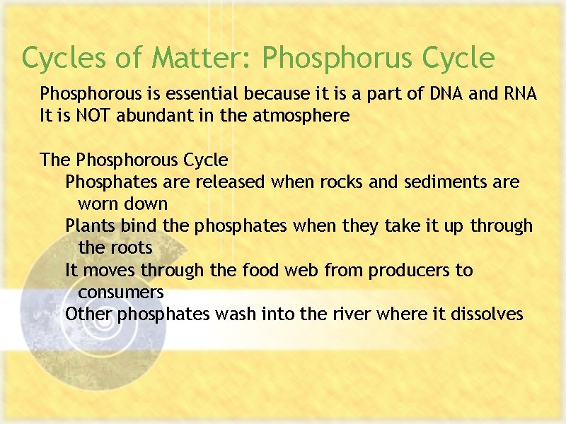 Cycles of Matter: Phosphorus Cycle Phosphorous is essential because it is a part of