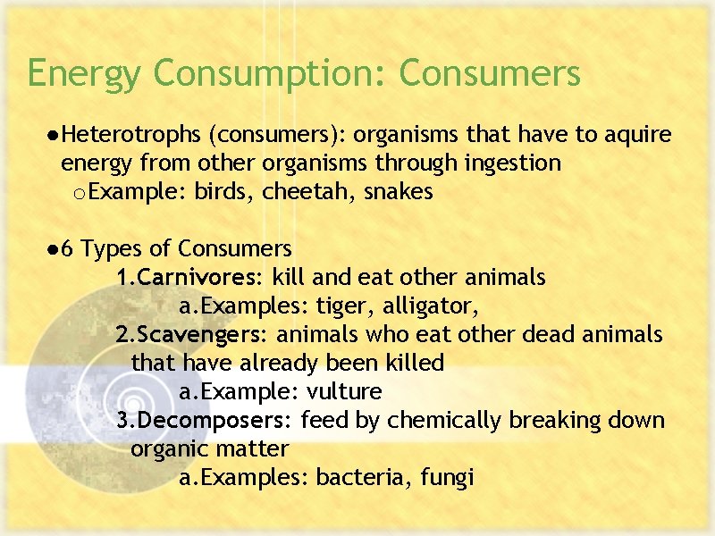 Energy Consumption: Consumers ● Heterotrophs (consumers): organisms that have to aquire energy from other