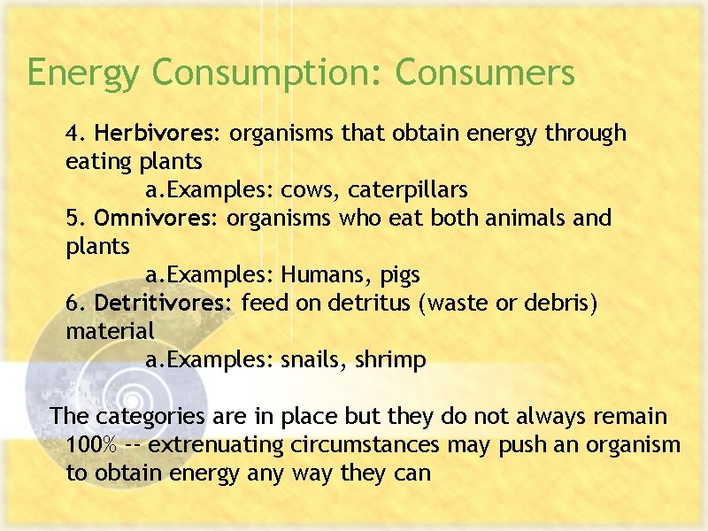 Energy Consumption: Consumers 4. Herbivores: organisms that obtain energy through eating plants a. Examples: