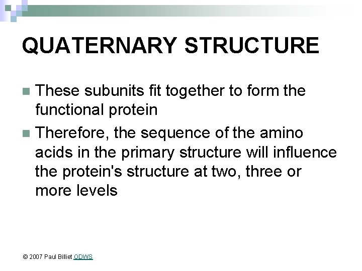 QUATERNARY STRUCTURE These subunits fit together to form the functional protein n Therefore, the