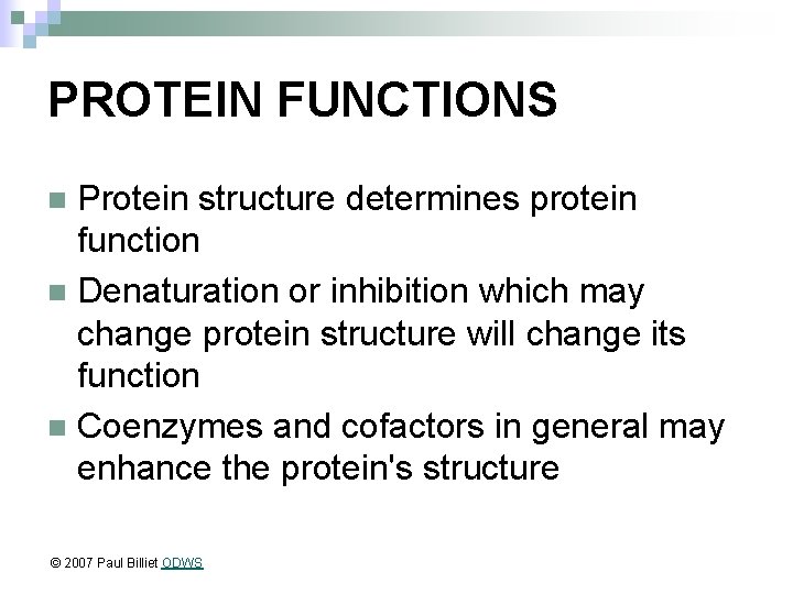 PROTEIN FUNCTIONS Protein structure determines protein function n Denaturation or inhibition which may change