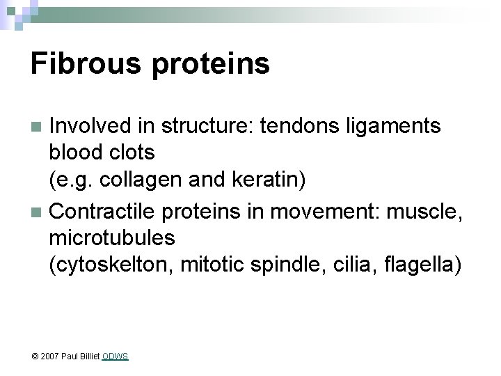 Fibrous proteins Involved in structure: tendons ligaments blood clots (e. g. collagen and keratin)