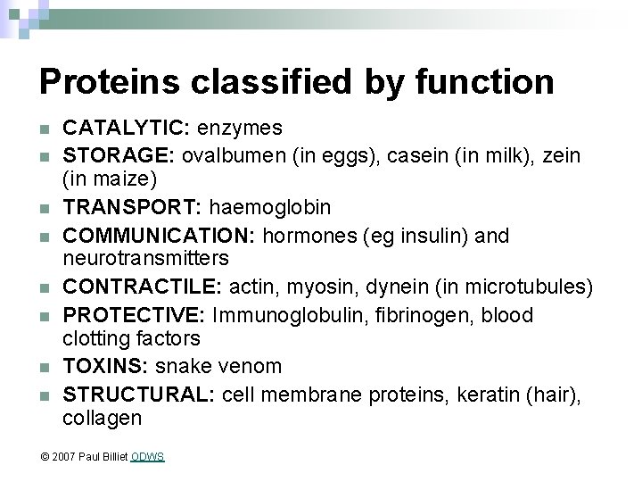 Proteins classified by function n n n n CATALYTIC: enzymes STORAGE: ovalbumen (in eggs),