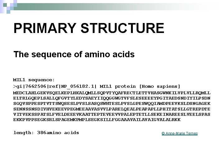 PRIMARY STRUCTURE The sequence of amino acids MIL 1 sequence: >gi|7662506|ref|NP_056182. 1| MIL 1