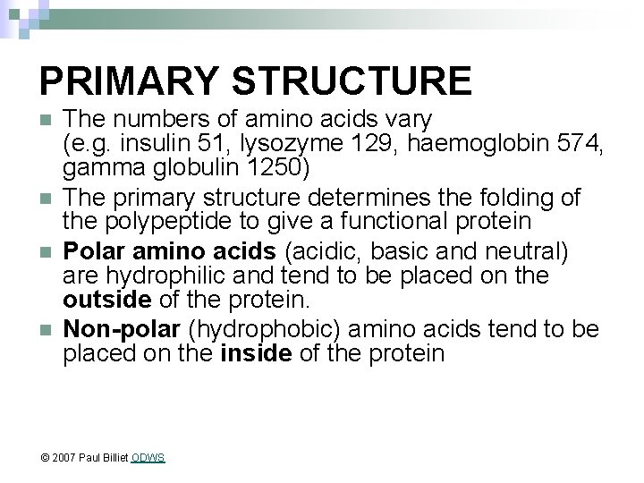 PRIMARY STRUCTURE n n The numbers of amino acids vary (e. g. insulin 51,