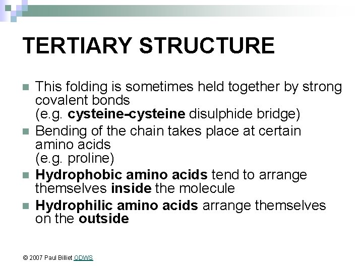 TERTIARY STRUCTURE n n This folding is sometimes held together by strong covalent bonds