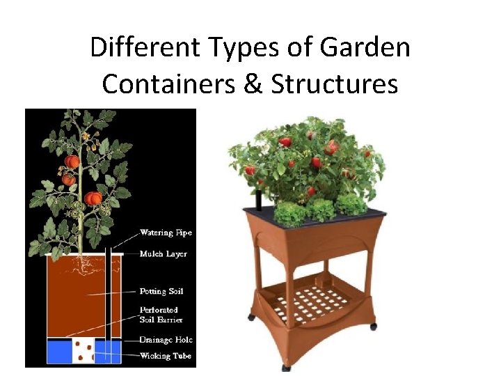 Different Types of Garden Containers & Structures 