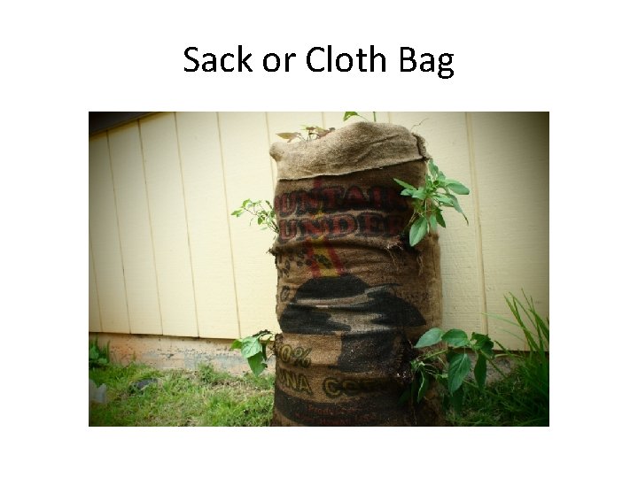 Sack or Cloth Bag 