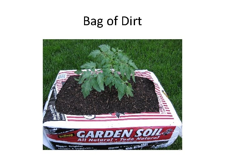 Bag of Dirt 