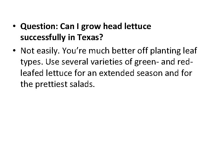  • Question: Can I grow head lettuce successfully in Texas? • Not easily.