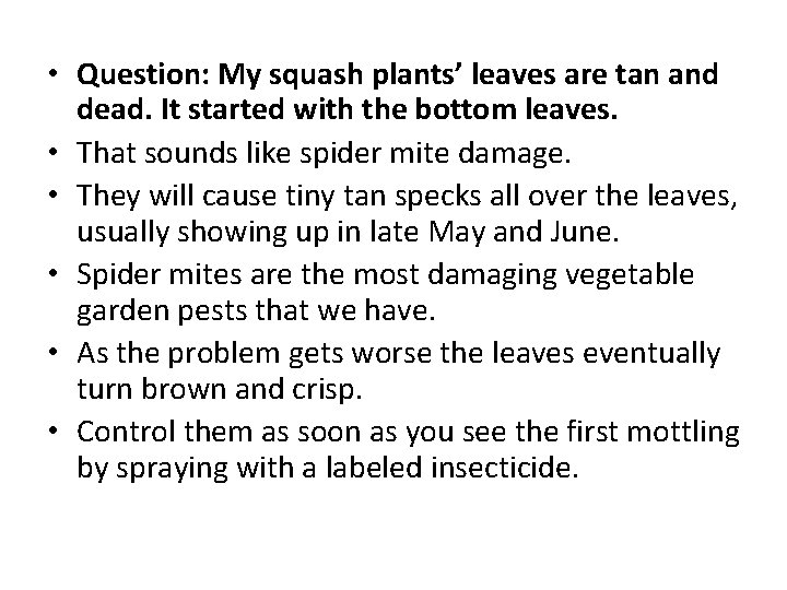  • Question: My squash plants’ leaves are tan and dead. It started with