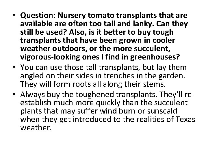  • Question: Nursery tomato transplants that are available are often too tall and