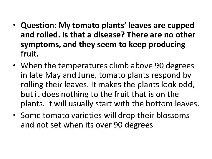  • Question: My tomato plants’ leaves are cupped and rolled. Is that a