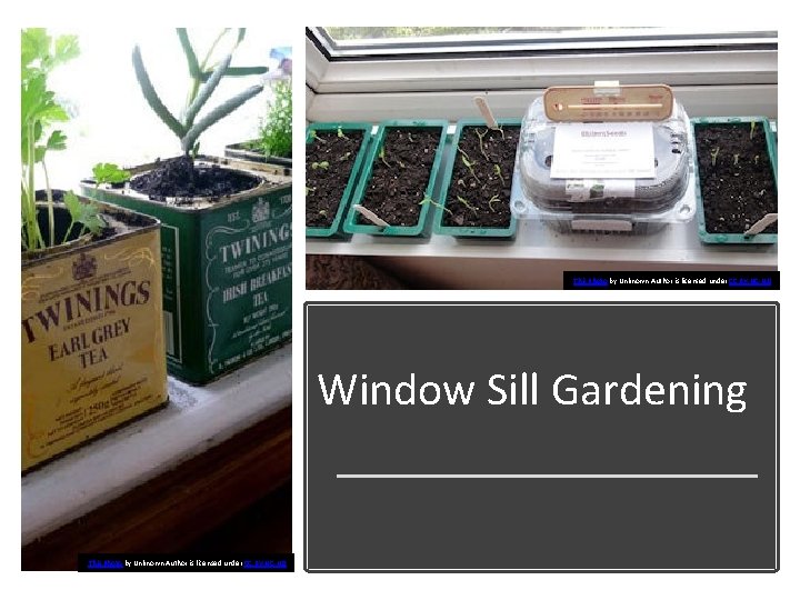 This Photo by Unknown Author is licensed under CC BY-NC-ND Window Sill Gardening This