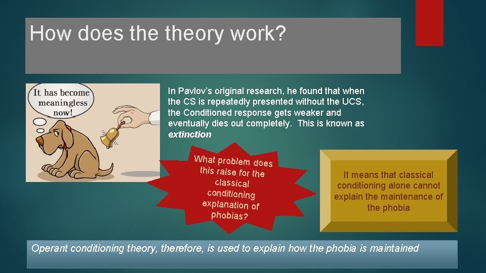 How does theory work? In Pavlov’s original research, he found that when the CS How does theory work? In Pavlov’s original research, he found that when the CS