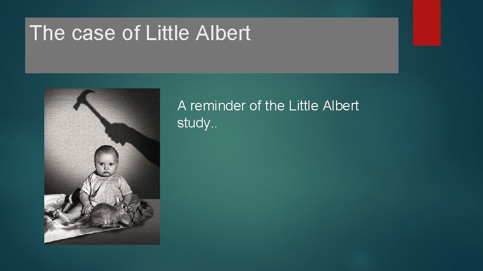 The case of Little Albert A reminder of the Little Albert study. . The case of Little Albert A reminder of the Little Albert study. .