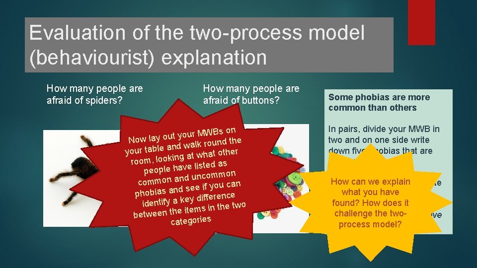 Evaluation of the two-process model (behaviourist) explanation How many people are afraid of spiders? Evaluation of the two-process model (behaviourist) explanation How many people are afraid of spiders?