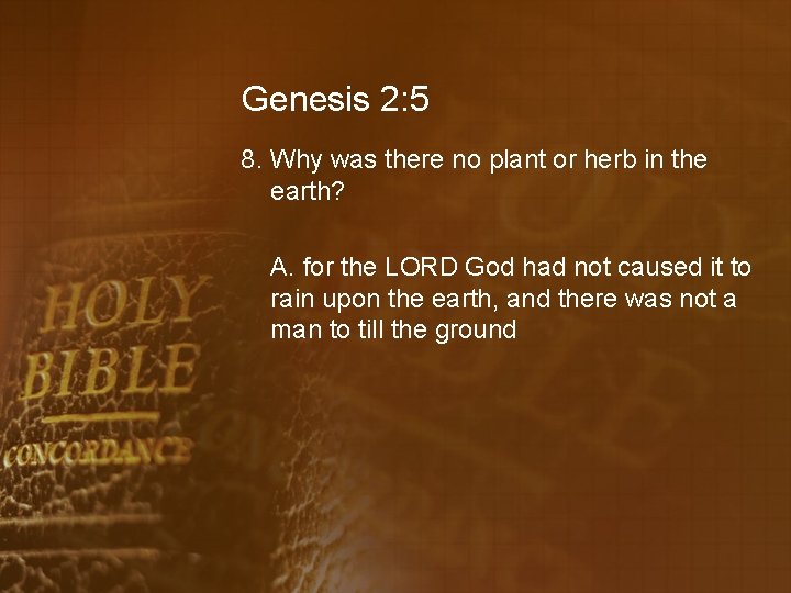 Genesis 2: 5 8. Why was there no plant or herb in the earth?