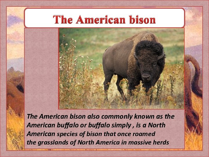The American bison also commonly known as the American buffalo or buffalo simply ,