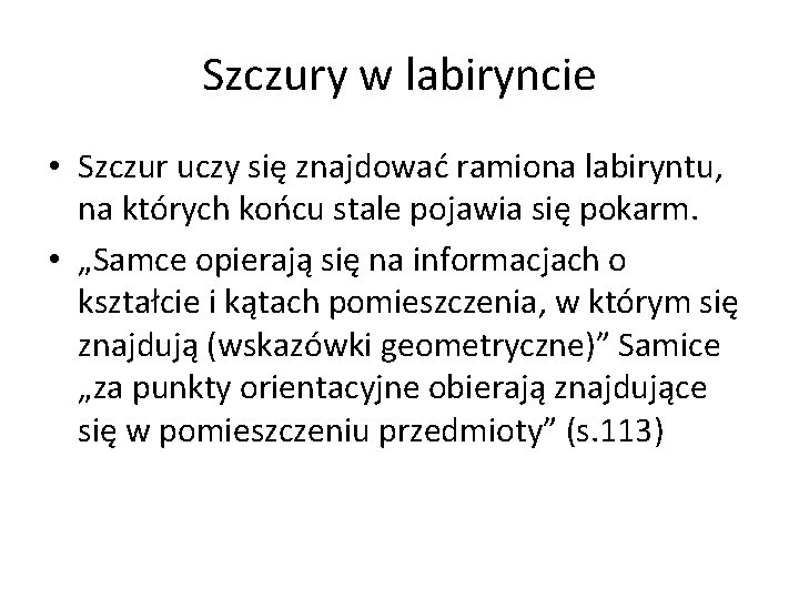 Szczury w labiryncie • Szczur uczy się znajdować ramiona labiryntu, na których końcu stale