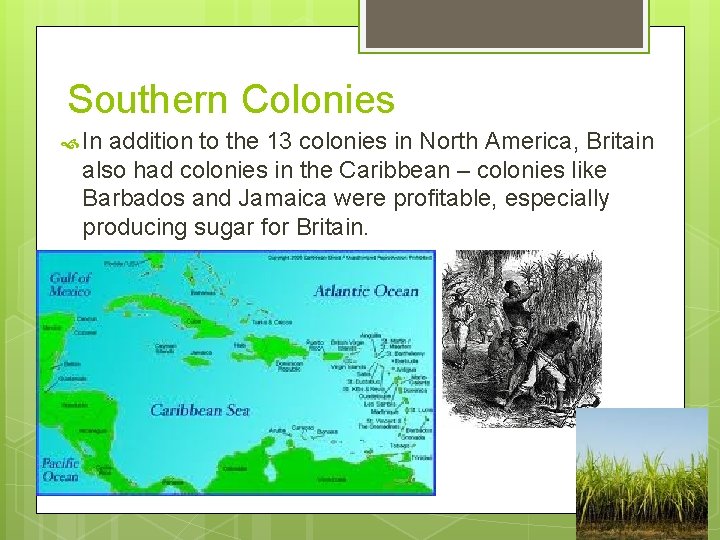 Southern Colonies In addition to the 13 colonies in North America, Britain also had