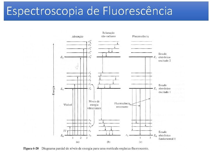 Espectroscopia de Fluorescência 