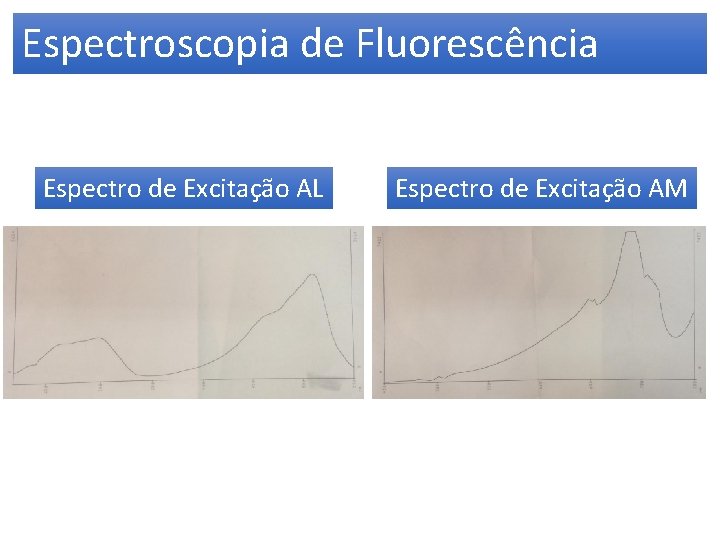 Espectroscopia de Fluorescência Espectro de Excitação AL Espectro de Excitação AM 