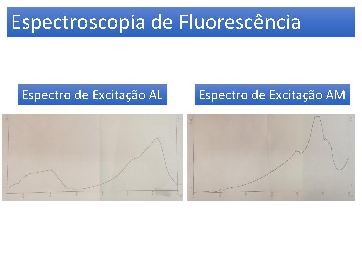 Espectroscopia de Fluorescência Espectro de Excitação AL Espectro de Excitação AM 