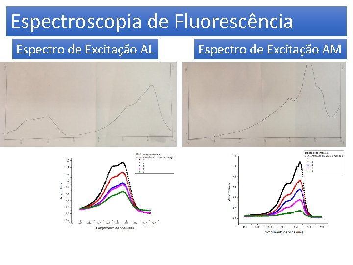 Espectroscopia de Fluorescência Espectro de Excitação AL Espectro de Excitação AM 