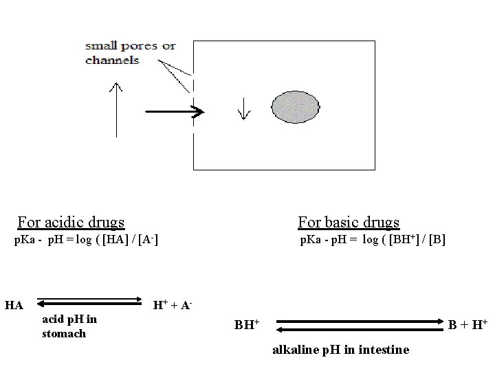 For acidic drugs For basic drugs p. Ka - p. H = log (