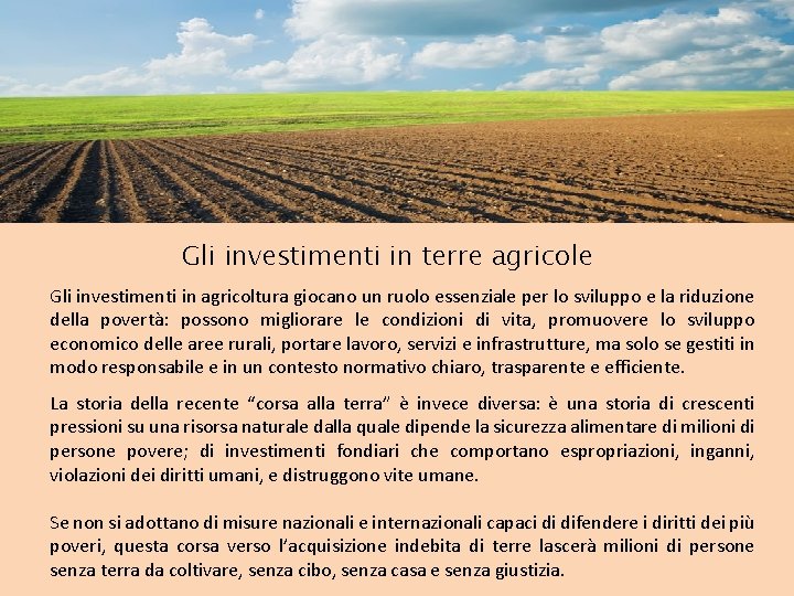 Gli investimenti in terre agricole Gli investimenti in agricoltura giocano un ruolo essenziale per