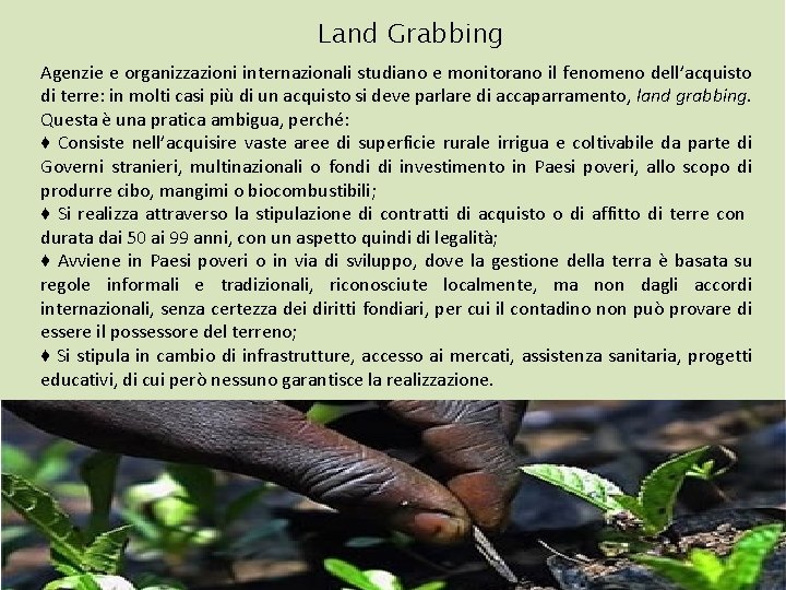 Land Grabbing Agenzie e organizzazioni internazionali studiano e monitorano il fenomeno dell’acquisto di terre: