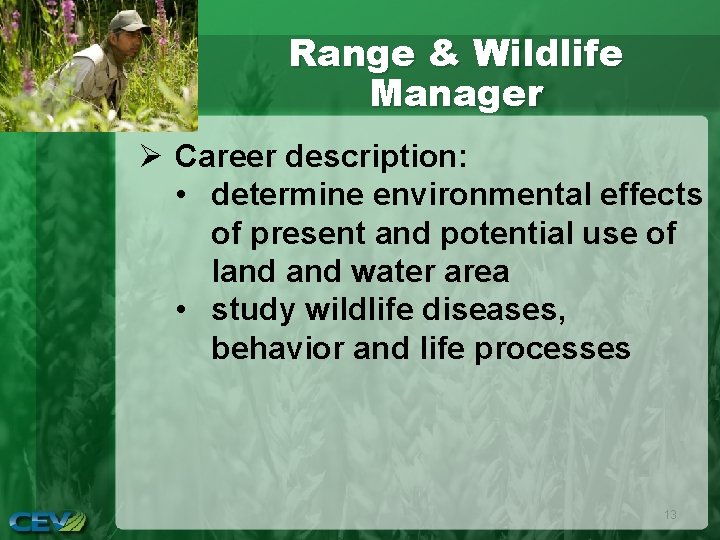 Range & Wildlife Manager Ø Career description: • determine environmental effects of present and