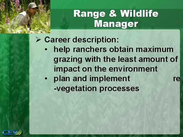 Range & Wildlife Manager Ø Career description: • help ranchers obtain maximum grazing with