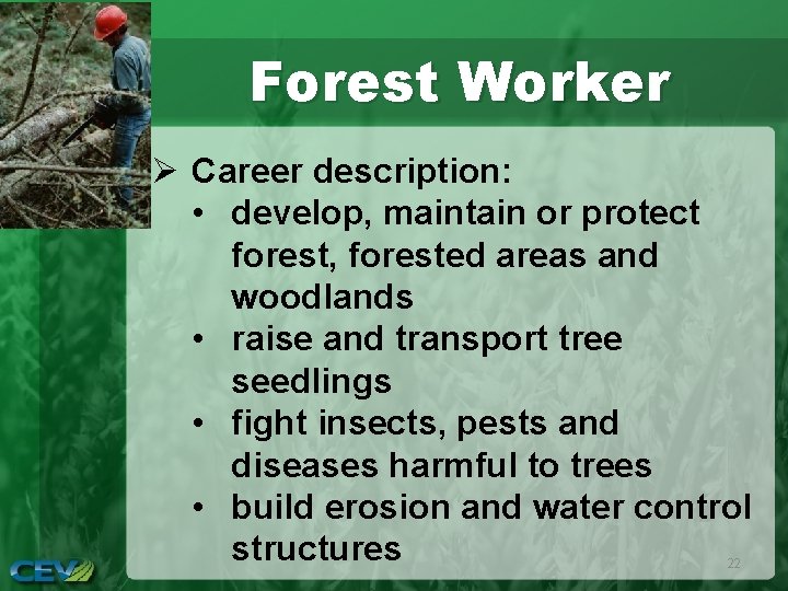 Forest Worker Ø Career description: • develop, maintain or protect forest, forested areas and
