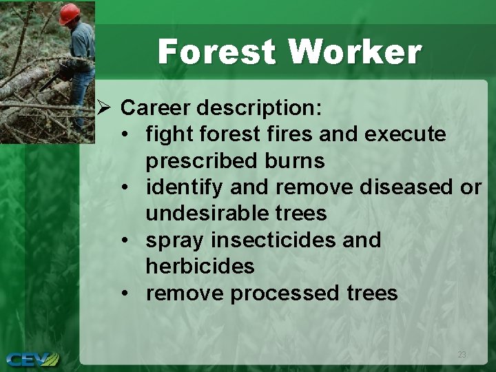 Forest Worker Ø Career description: • fight forest fires and execute prescribed burns •