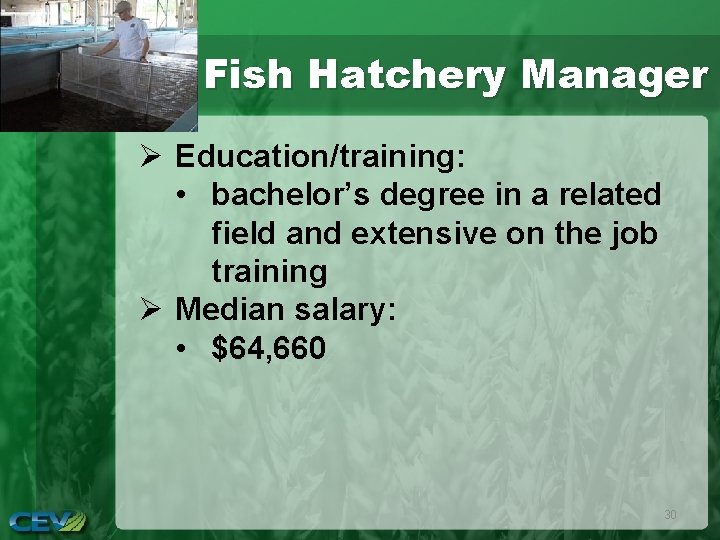Fish Hatchery Manager Ø Education/training: • bachelor’s degree in a related field and extensive