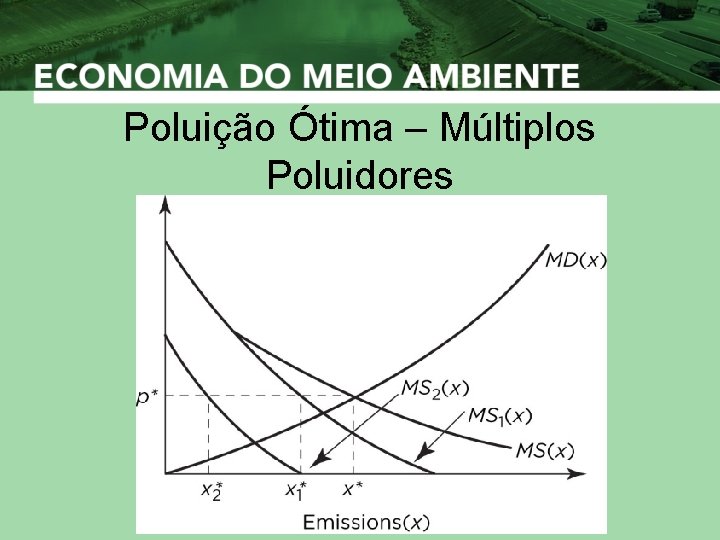 Poluição Ótima – Múltiplos Poluidores 