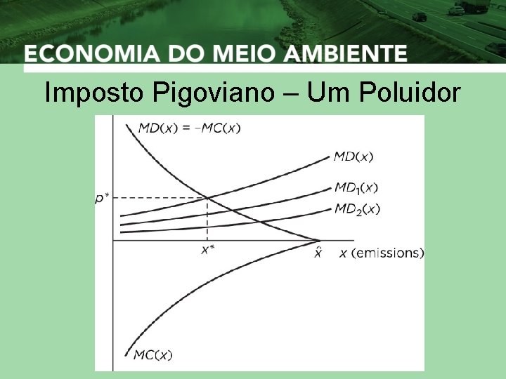 Imposto Pigoviano – Um Poluidor 