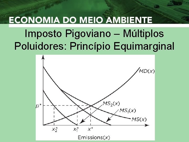 Imposto Pigoviano – Múltiplos Poluidores: Princípio Equimarginal 