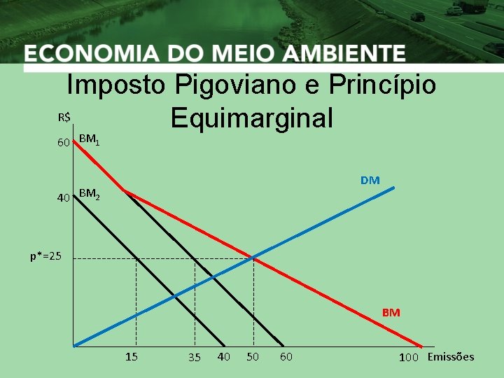 Imposto Pigoviano e Princípio R$ Equimarginal 60 BM 1 DM 40 BM 2 p*=25